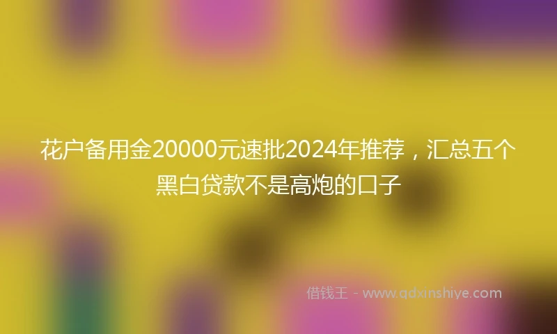 花户备用金20000元速批2024年推荐,汇总五个黑白贷款不是高炮的口子