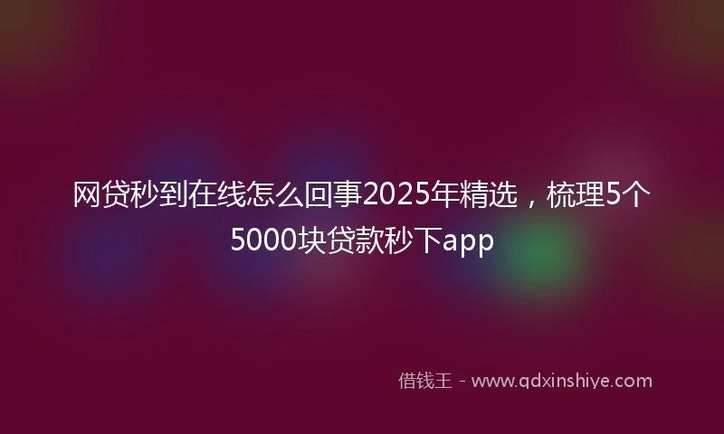 网贷秒到在线怎么回事2025年精选，梳理5个5000块贷款秒下app