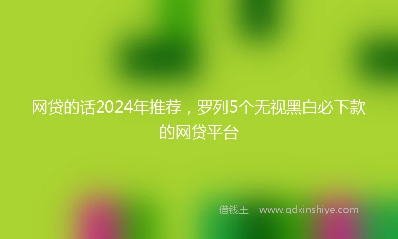 网贷的话2024年推荐，罗列5个无视黑白必下款的网贷平台