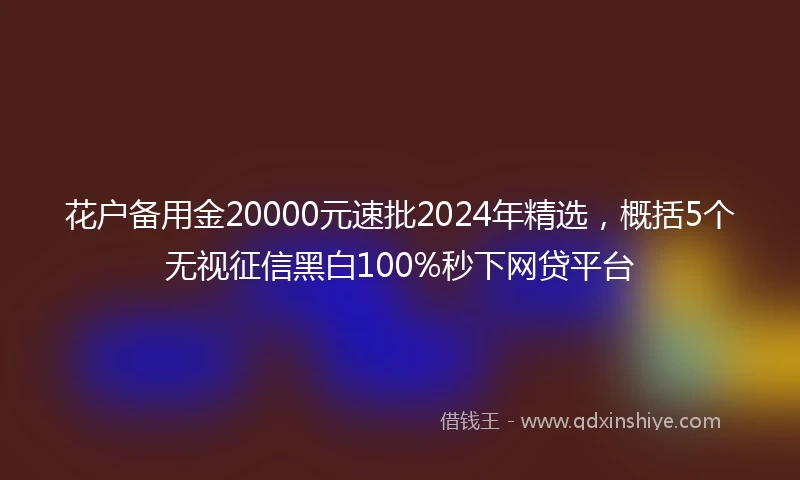 花户备用金20000元速批2024年精选，概括5个无视征信黑白100%秒下网贷平台