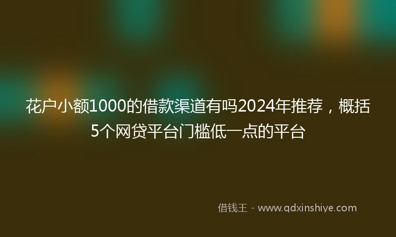 花户小额1000的借款渠道有吗2024年推荐，概括5个网贷平台门槛低一点的平台