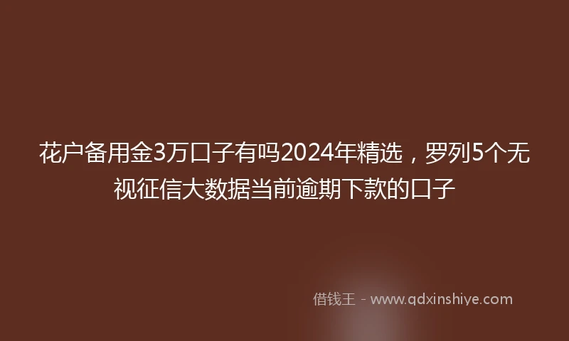 花户备用金3万口子有吗2024年精选，罗列5个无视征信大数据当前逾期下款的口子