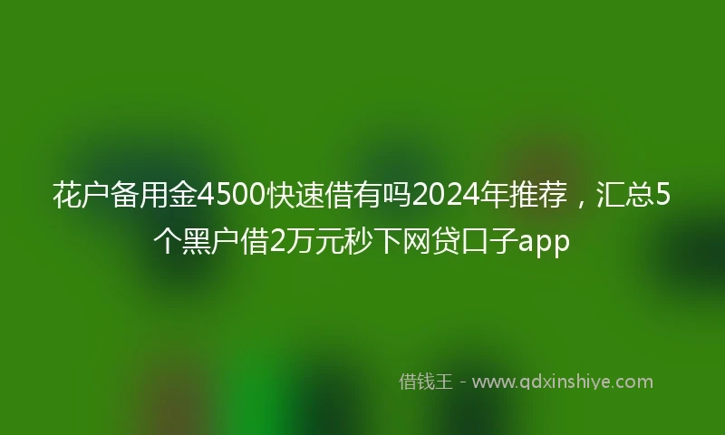花户备用金4500快速借有吗2024年推荐，汇总5个黑户借2万元秒下网贷口子app