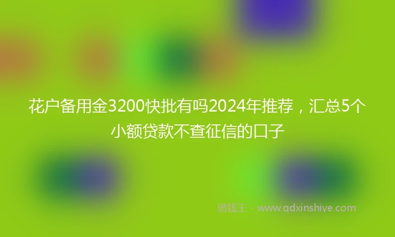 花户备用金3200快批有吗2024年推荐，汇总5个小额贷款不查征信的口子