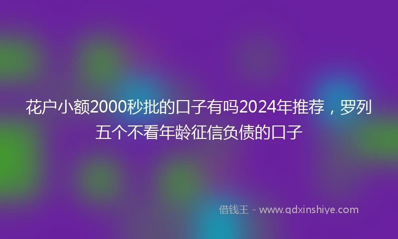 花户小额2000秒批的口子有吗2024年推荐，罗列五个不看年龄征信负债的口子