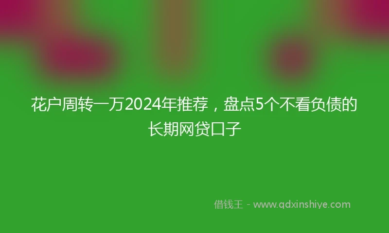 花户周转一万2024年推荐，盘点5个不看负债的长期网贷口子