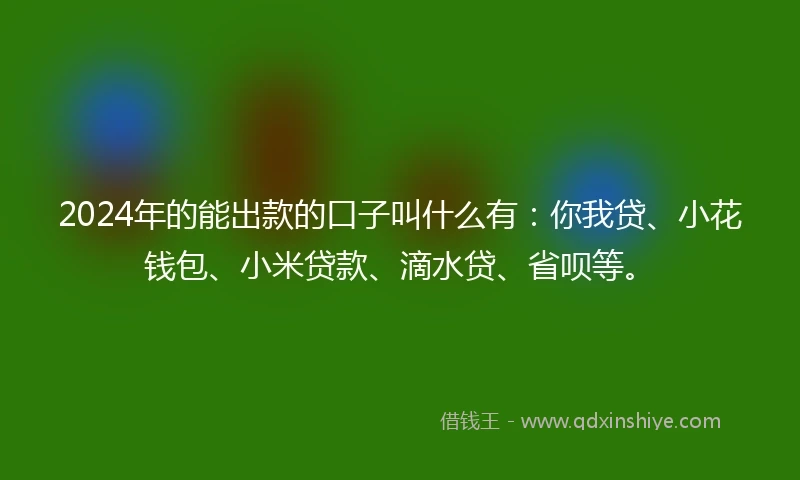2024年的能出款的口子叫什么有：你我贷、小花钱包、小米贷款、滴水贷、省呗等。