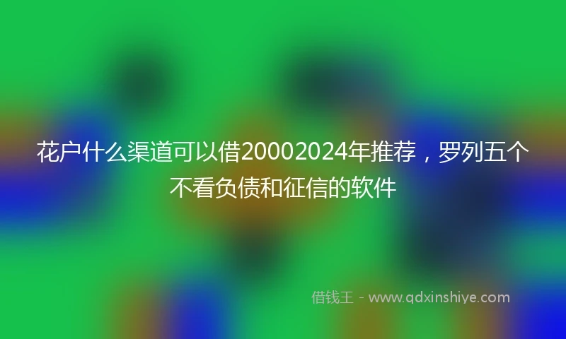 花户什么渠道可以借20002024年推荐，罗列五个不看负债和征信的软件