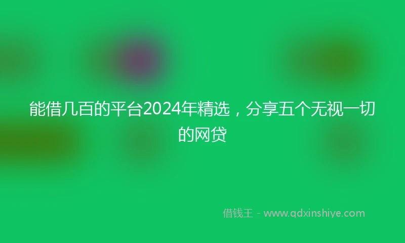 能借几百的平台2024年精选，分享五个无视一切的网贷