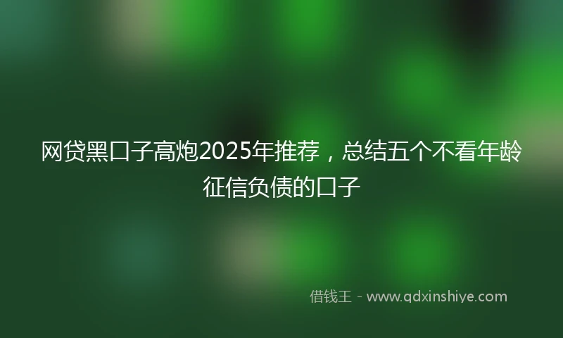 网贷黑口子高炮2025年推荐，总结五个不看年龄征信负债的口子