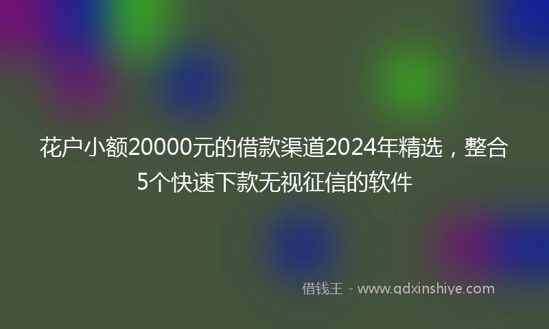 花户小额20000元的借款渠道2024年精选，整合5个快速下款无视征信的软件
