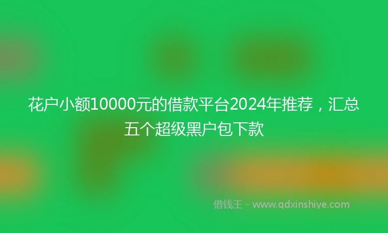 花户小额10000元的借款平台2024年推荐,汇总五个超级黑户包下款