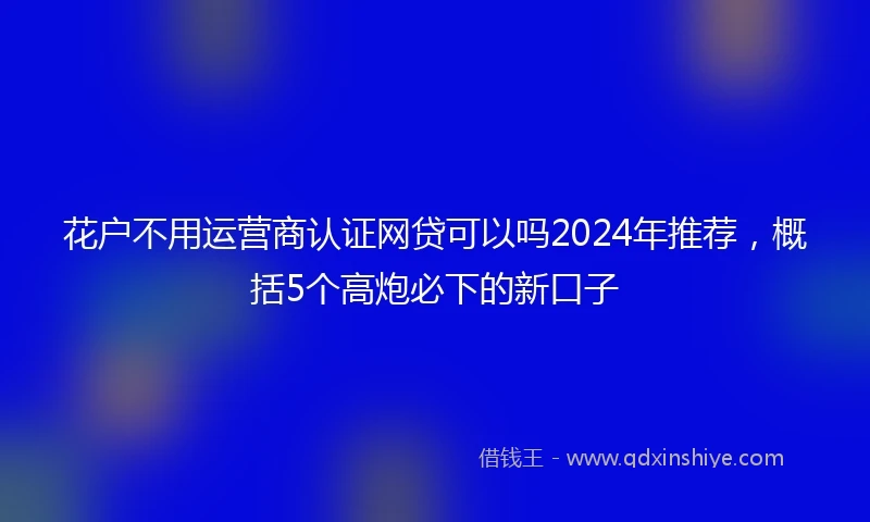 花户不用运营商认证网贷可以吗2024年推荐，概括5个高炮必下的新口子