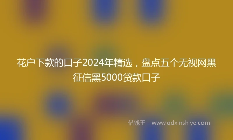 花户下款的口子2024年精选，盘点五个无视网黑征信黑5000贷款口子