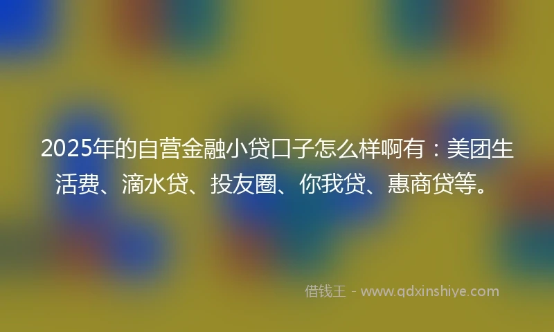 2025年的自营金融小贷口子怎么样啊有：美团生活费、滴水贷、投友圈、你我贷、惠商贷等。