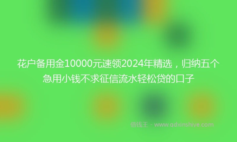 花户备用金10000元速领2024年精选，归纳五个急用小钱不求征信流水轻松贷的口子