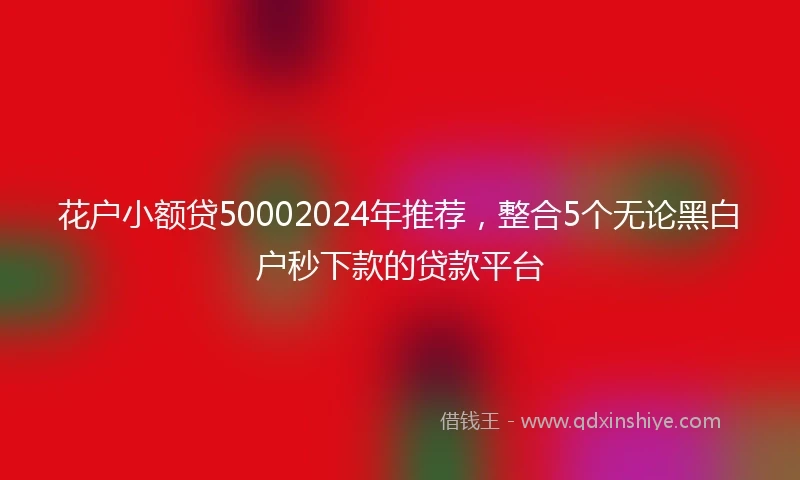 花户小额贷50002024年推荐，整合5个无论黑白户秒下款的贷款平台