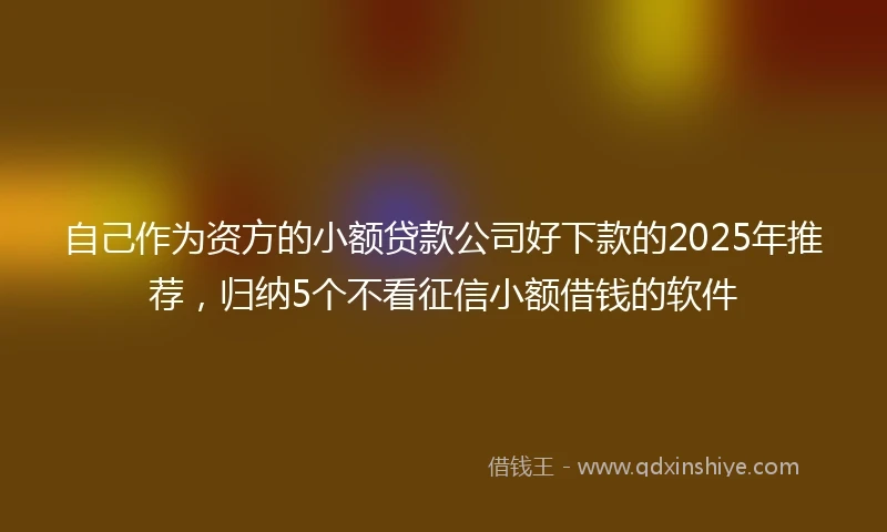 自己作为资方的小额贷款公司好下款的2025年推荐，归纳5个不看征信小额借钱的软件