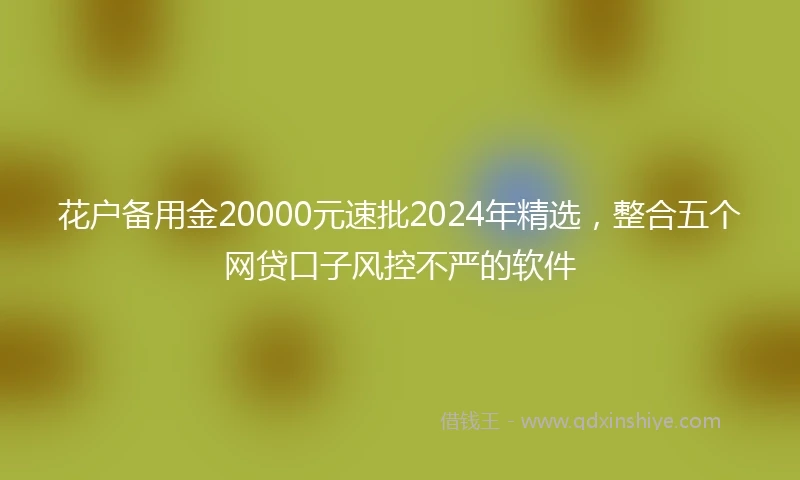 花户备用金20000元速批2024年精选，整合五个网贷口子风控不严的软件