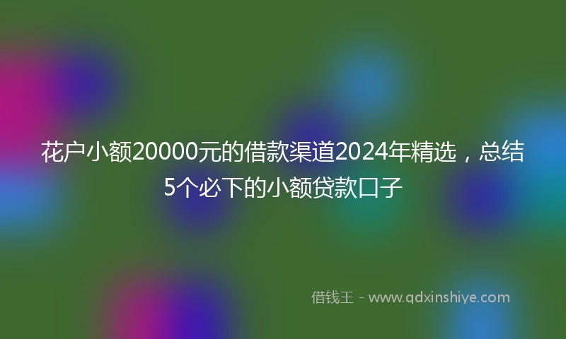 花户小额20000元的借款渠道2024年精选，总结5个必下的小额贷款口子
