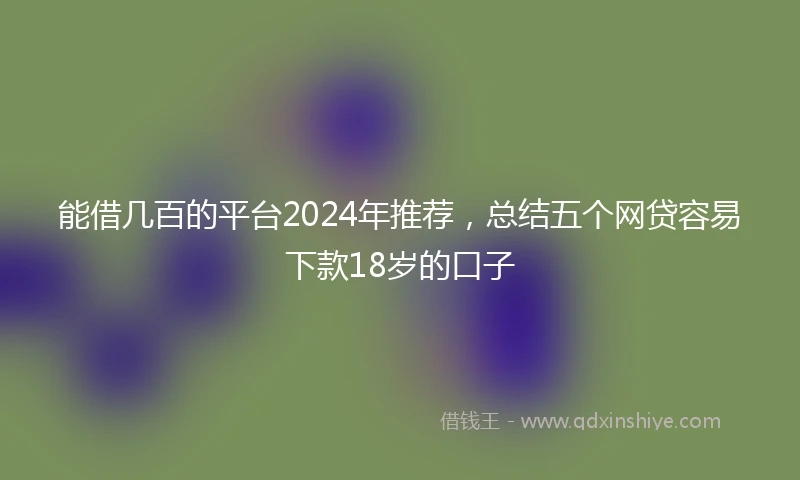 能借几百的平台2024年推荐，总结五个网贷容易下款18岁的口子
