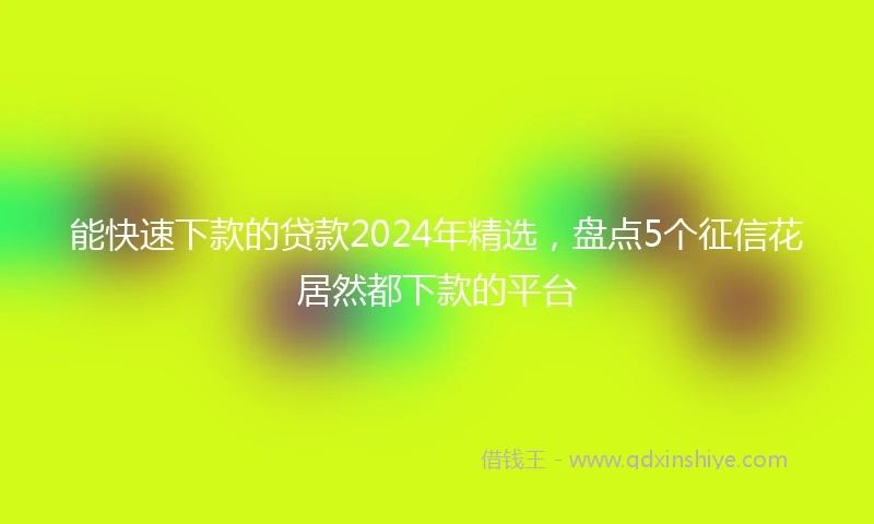 能快速下款的贷款2024年精选，盘点5个征信花居然都下款的平台