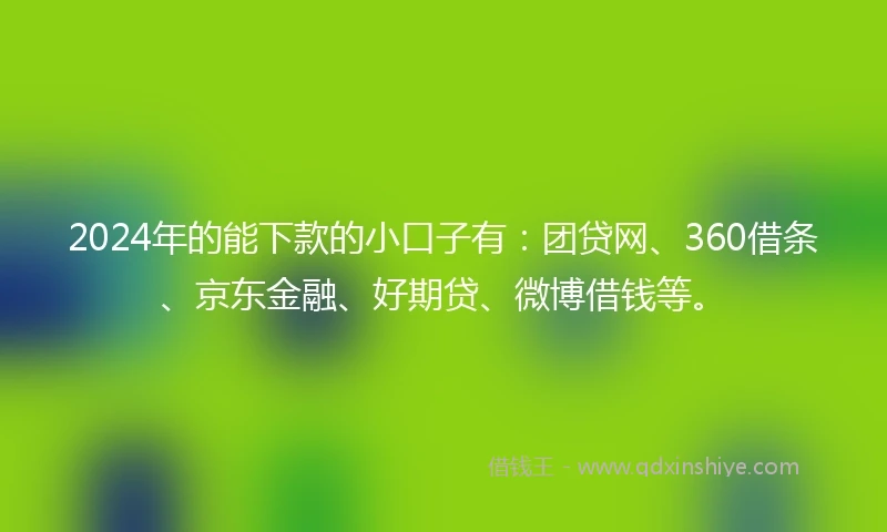2024年的能下款的小口子有：团贷网、360借条、京东金融、好期贷、微博借钱等。