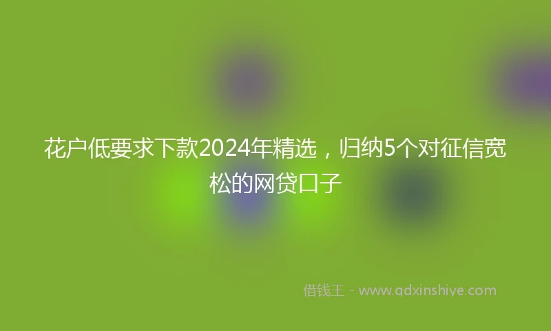 花户低要求下款2024年精选，归纳5个对征信宽松的网贷口子