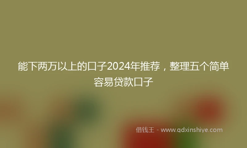 能下两万以上的口子2024年推荐，整理五个简单容易贷款口子