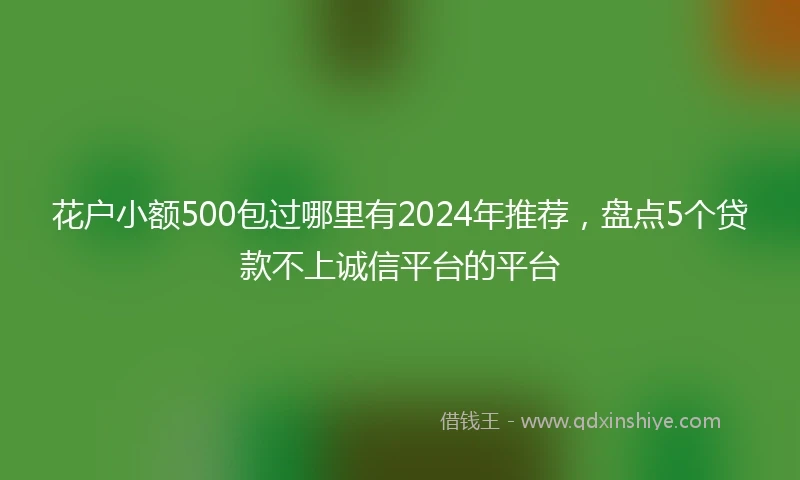 花户小额500包过哪里有2024年推荐，盘点5个贷款不上诚信平台的平台