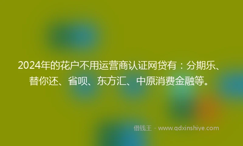 2024年的花户不用运营商认证网贷有：分期乐、替你还、省呗、东方汇、中原消费金融等。