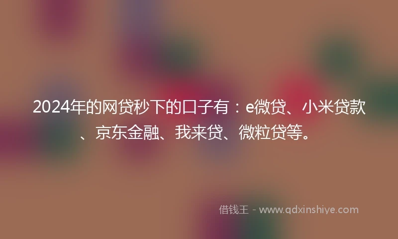 2024年的网贷秒下的口子有：e微贷、小米贷款、京东金融、我来贷、微粒贷等。