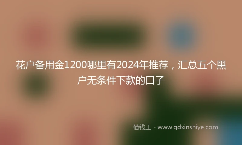 花户备用金1200哪里有2024年推荐，汇总五个黑户无条件下款的口子