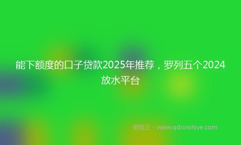 能下额度的口子贷款2025年推荐，罗列五个2024放水平台