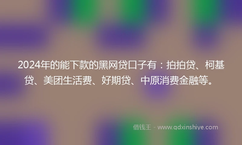 2024年的能下款的黑网贷口子有：拍拍贷、柯基贷、美团生活费、好期贷、中原消费金融等。