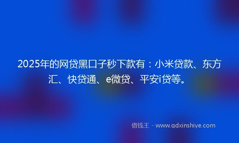 2025年的网贷黑口子秒下款有：小米贷款、东方汇、快贷通、e微贷、平安i贷等。