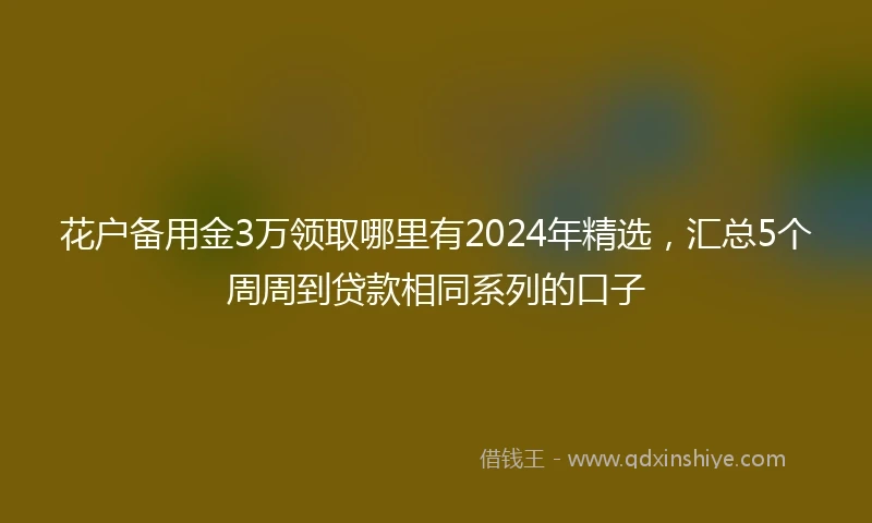 花户备用金3万领取哪里有2024年精选，汇总5个周周到贷款相同系列的口子