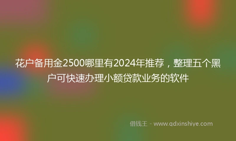 花户备用金2500哪里有2024年推荐，整理五个黑户可快速办理小额贷款业务的软件
