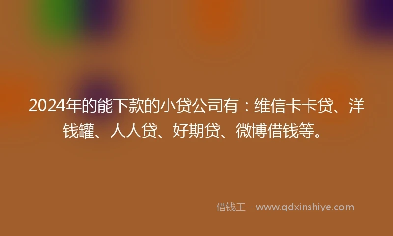 2024年的能下款的小贷公司有：维信卡卡贷、洋钱罐、人人贷、好期贷、微博借钱等。