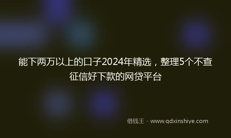 能下两万以上的口子2024年精选，整理5个不查征信好下款的网贷平台