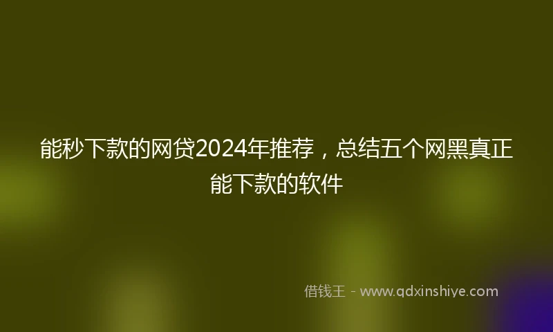 能秒下款的网贷2024年推荐，总结五个网黑真正能下款的软件
