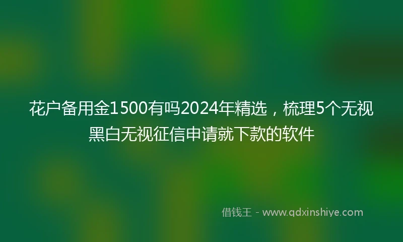 花户备用金1500有吗2024年精选，梳理5个无视黑白无视征信申请就下款的软件