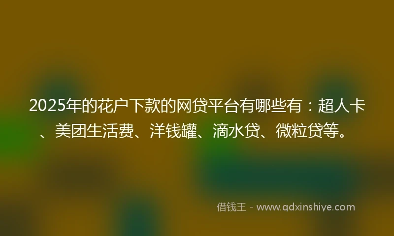 2025年的花户下款的网贷平台有哪些有：超人卡、美团生活费、洋钱罐、滴水贷、微粒贷等。