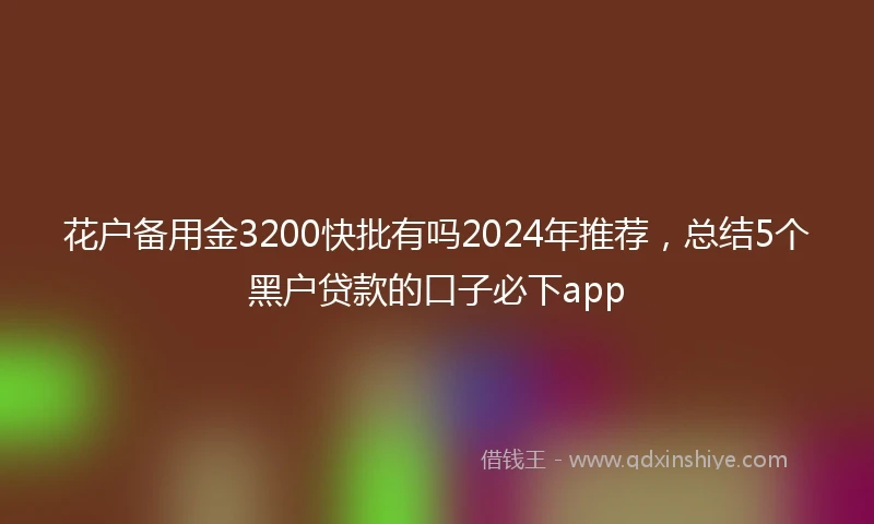花户备用金3200快批有吗2024年推荐，总结5个黑户贷款的口子必下app