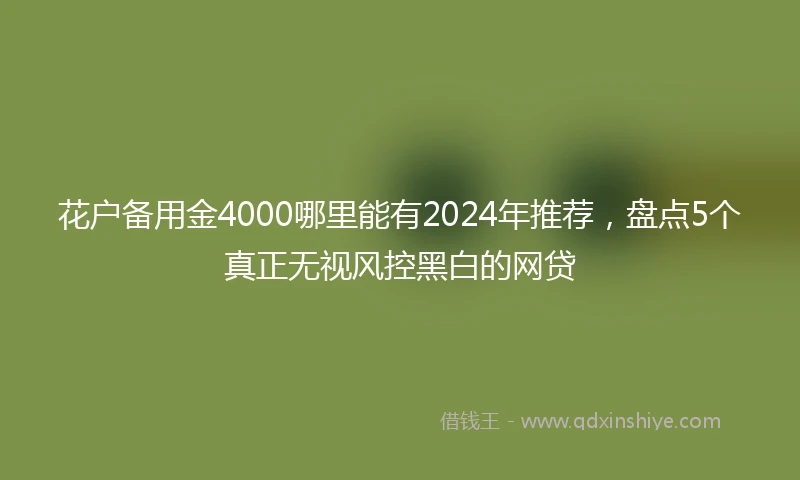 花户备用金4000哪里能有2024年推荐，盘点5个真正无视风控黑白的网贷