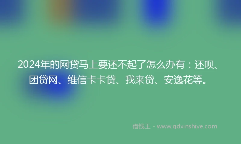 2024年的网贷马上要还不起了怎么办有：还呗、团贷网、维信卡卡贷、我来贷、安逸花等。