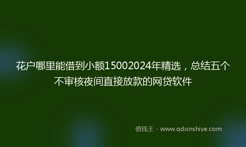 花户哪里能借到小额15002024年精选，总结五个不审核夜间直接放款的网贷软件