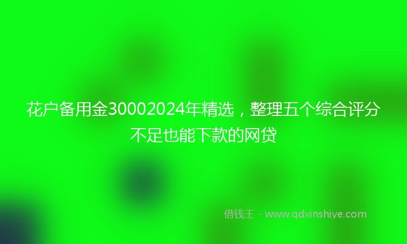 花户备用金30002024年精选，整理五个综合评分不足也能下款的网贷
