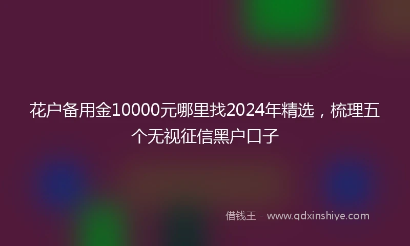花户备用金10000元哪里找2024年精选，梳理五个无视征信黑户口子