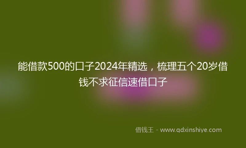 能借款500的口子2024年精选，梳理五个20岁借钱不求征信速借口子